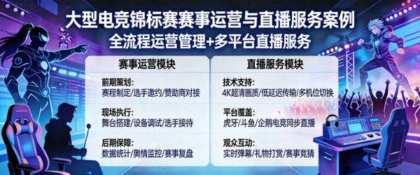 大型电竞锦标赛赛事运营与直播服务案例